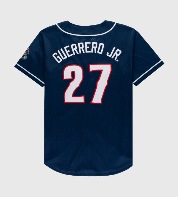 Vladimir Guerrero Jr. New Hampshire Fisher Cats #27 Vintage Minor League Mesh Button-Up Jersey