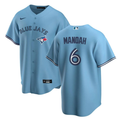 Men's Toronto Blue Jays Alek Manoah #6 Alternate III Jersey